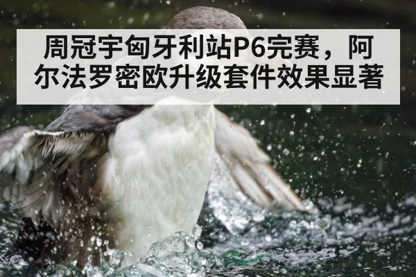 周冠宇匈牙利站P6完赛,阿尔法罗密欧升级套件效果显著