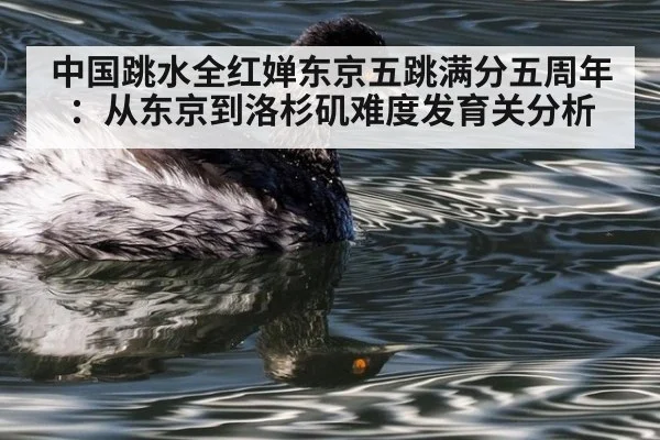 中国跳水全红婵东京五跳满分五周年：从东京到洛杉矶难度发育关分析